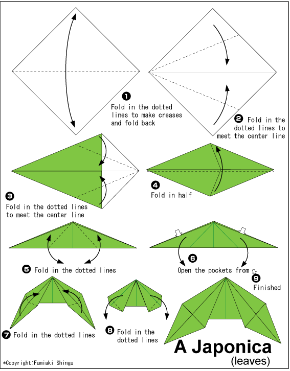 Cara Membuat  Origami  Bunga Kamelia Camellia Cara 