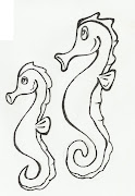 Desenho de cavalo marinho para pintar (desenho de cavalo marinho para pintar)