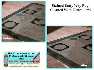 Best carpet Cleaning Solution