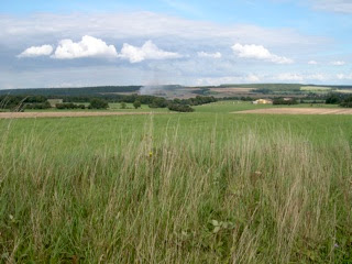 via francigena in bicicletta