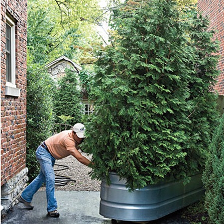 southern living living green-gate-l