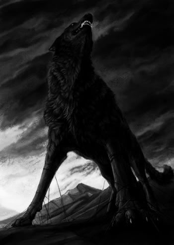 Black Wolf