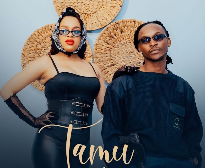 Download Audio : Barnaba Ft Nandy - Tamu Mp3