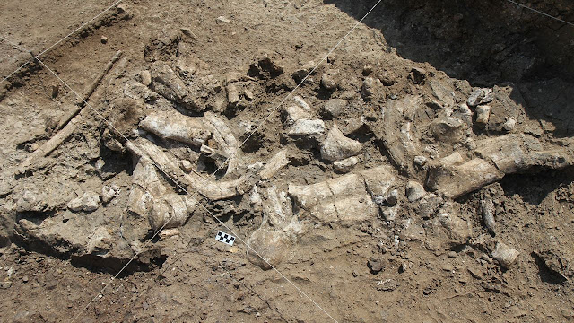 Απολιθωμένος σκελετός ιπποπόταμου και λίθινα εργαλεία ανακαλύφθηκαν τον Ιούλιο του 2016 στην τοποθεσία Nyayanga στην Κένυα.