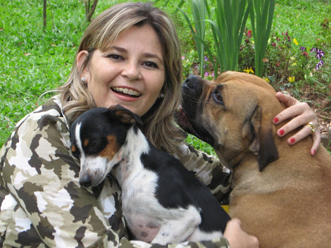 OS ANIMAIS SABEM QUEM NÃO LHES FAZ MAL.