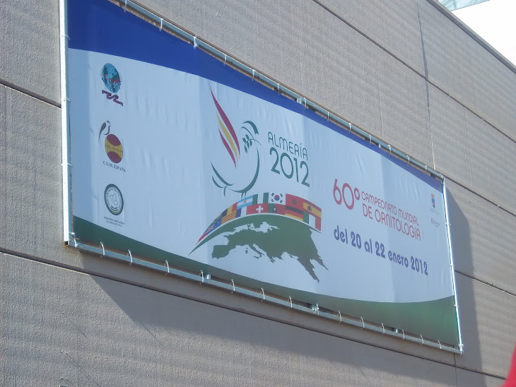 Mundial 2012 - Almeria