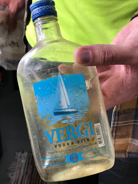 Vergi vodka pullo, jossa sisällä vettä ja kasveja. 