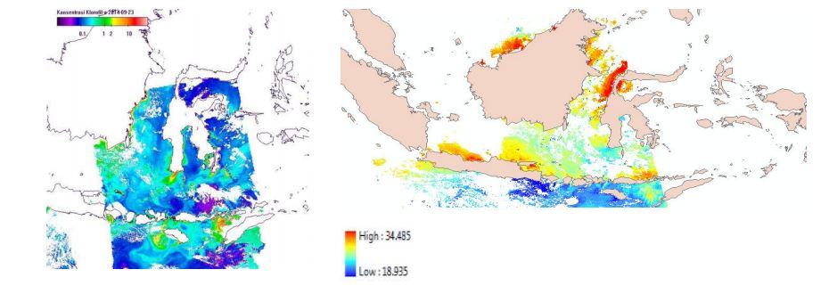 Contoh Ekosistem Lamun - Contoh IK