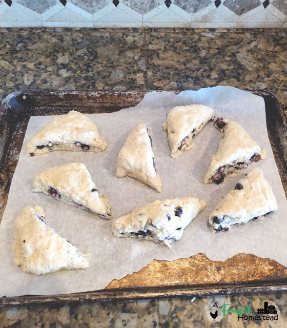 Blueberry Buttermilk Scones