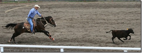 680 calf1 (640x237) 680 calf1 (640x237)
