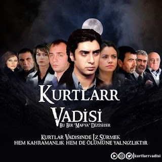 Kurtlar vadisi kapak