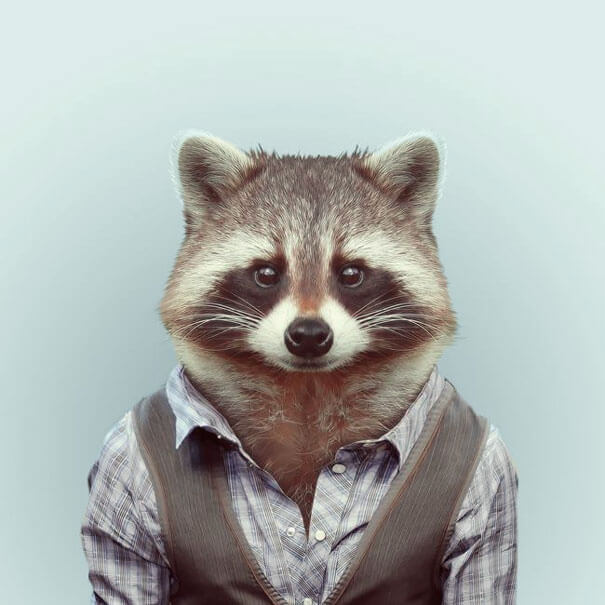 36 Adorable Portraits Of Baby Animals Dressed Like Humans