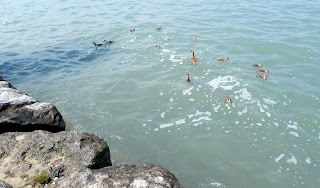 Gardasee Reiseeindrücke