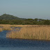 The Somerset Levels