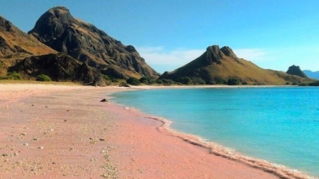 Keindahan Pantai Pink Lombok