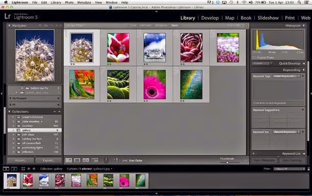 Adobe Photoshop Lightroom ~ CYBER