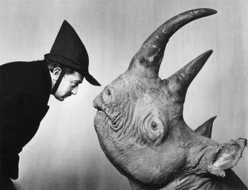 dali-and-rhinoceros