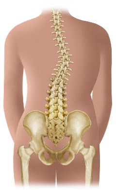 What is Dextroscoliosis - Definition, Symptoms, Causes, Treatment