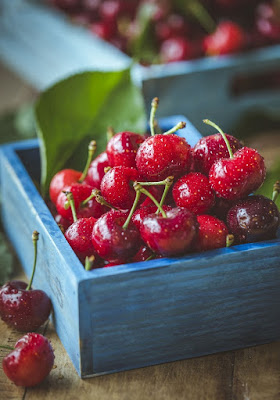 Can Dogs Eat Cherries? Are Cherries Safe For Dogs?