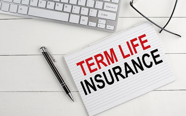 A Comprehensive Guide to Understanding Term Life Insurance