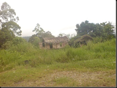DSC01006