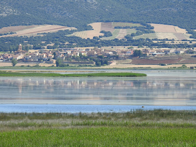 Laguna de Gallocanta verano de 2020