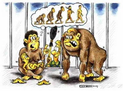 evolution funny pictures