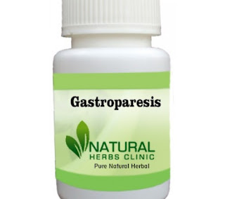 Herbal Product for Gastroparesis