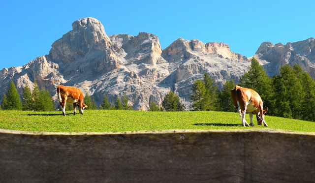 VAL BADIA & DINTORNI