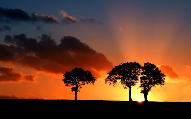 suffolk-savanna-sunset