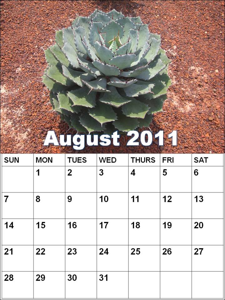 august calendars 2011. Blank Calendar 2011 August or