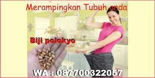 http://jualbijipolokyoasli.blogspot.com