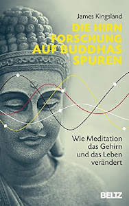 Die Hirnforschung auf Buddhas Spuren: Wie Meditation das Gehirn und das Leben verändert