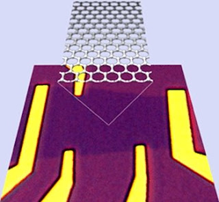 graphene device