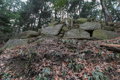 三雲城