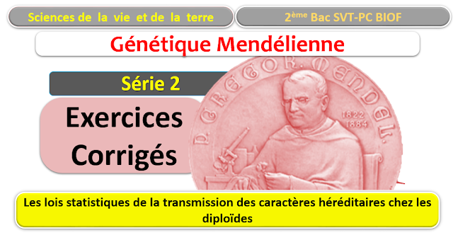 chapitre 2 :Les lois statistiques de la transmission des caractères héréditaires chez les diploïdes