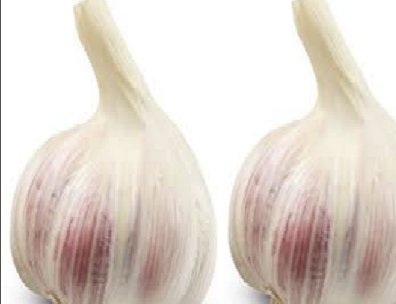 Garlic (lasun) Treat Iron deficiency and Anemia