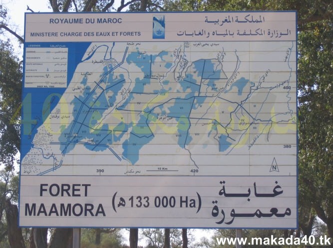 بحث حول غابة معمورة Makada40