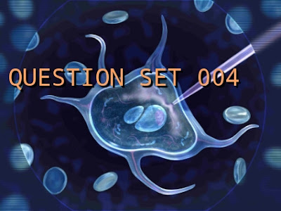 question set 004