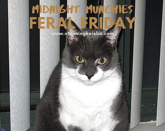 Feral Friday: Midnight Munchies