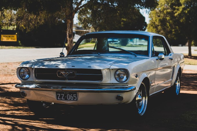 Many Mustang Bullitts Are Heading To South Africa