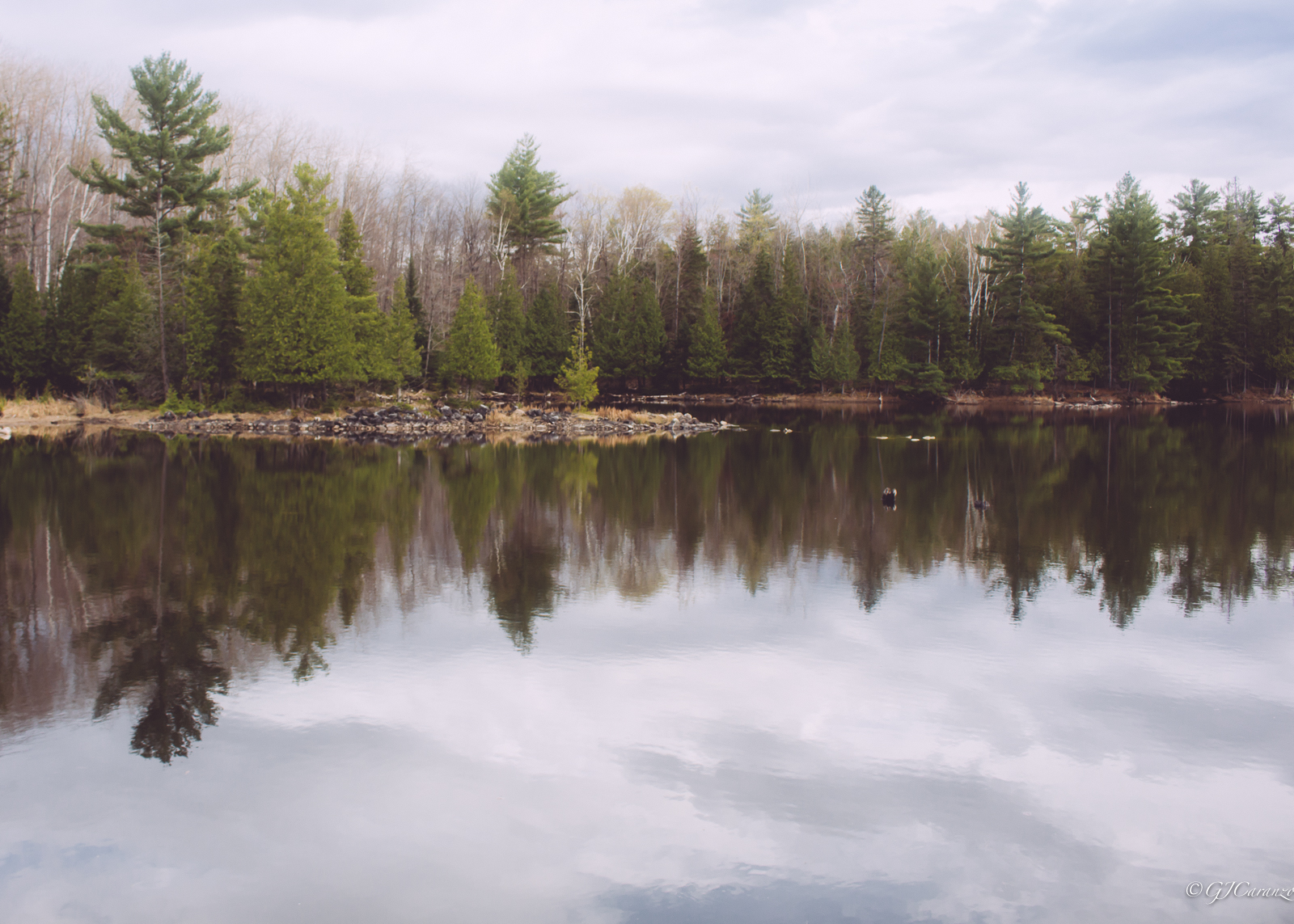 Morris Island Conservation Area