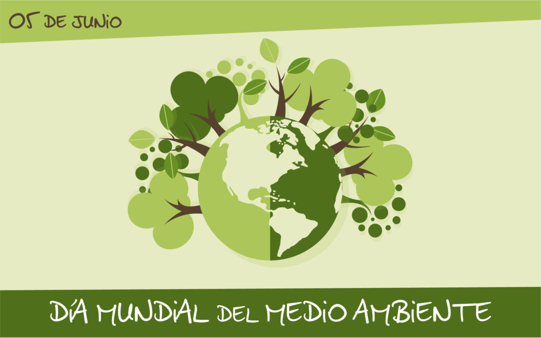 https://www.notasrosas.com/Modelo de Economía Circular de Corona, fue socializado en el Día Mundial del Medio Ambiente