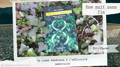 Une nuit sans fin - Eric Chavet happy book livres addict avis chronique