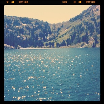 photo(12)