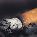Tutta la Storia del perché si dice "fumare come un turco" | I Domandony 