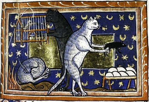 Tre gatti impegnati nelle attività feline  uno dorme, il secondo cerca di catturare l'uccellino in gabbia e il terzo tiene tra le zampe un topo  - Bestiaro della metà del 13 secolo