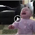 Best Babies Laughing Video Compilation