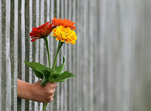 Kumpulan Kata Kata Gombal Lucu dan Romantis Buat Gebetan Dan Pacar Klepek Klepek