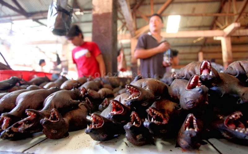 Masakan Khas Manado Paniki Kelelawar - Wisata Kuliner Enak ~ Aneka